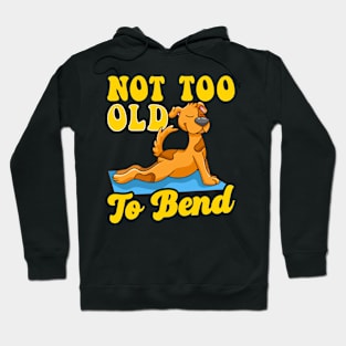 Not too Old To Bend Funny Yoga Dog on Yoga Mat Cute Dog Hoodie